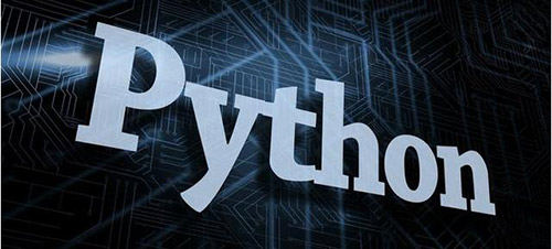 python (3).jpg